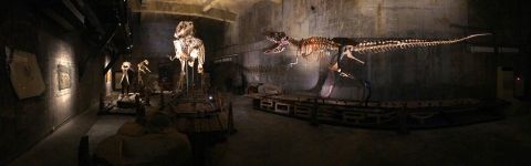 The Hall of the King: Unearthed T-Rex